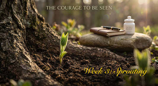 The Courage to Be Seen: Strengthening the Base in Week 3 of The Emergence